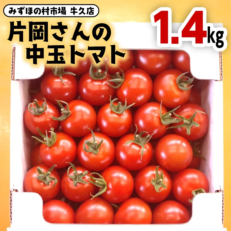 片岡さんの 中玉トマト 1.4kg 新鮮 野菜 トマト とまと