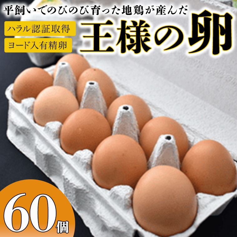 王様の卵 ヨード入 60個 平飼い 地鶏 有精卵 濃厚 卵 こだわり卵 たまご｜牛久市｜茨城県｜返礼品をさがす｜まいふる by AEON CARD