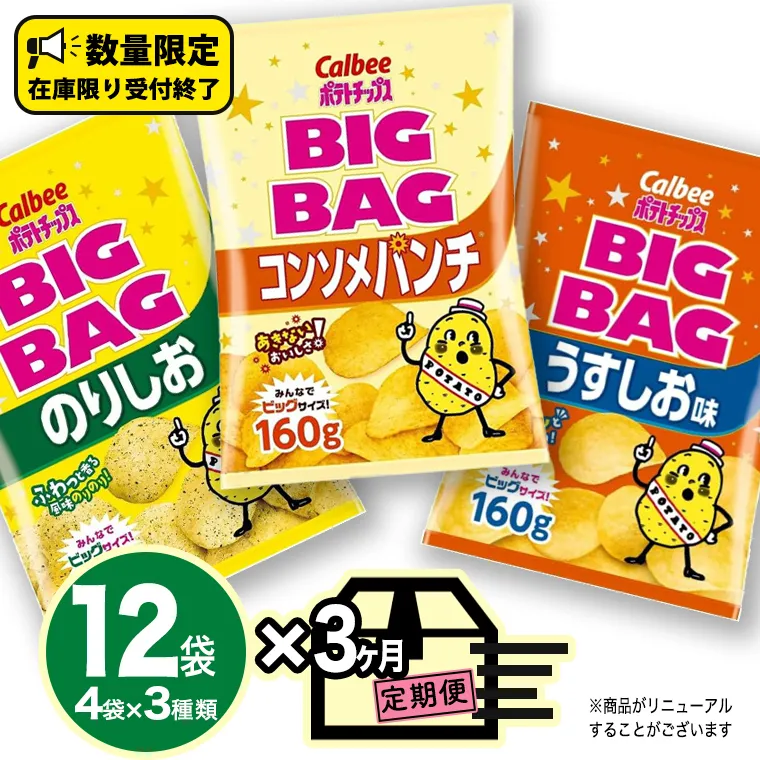 【 カルビー 3ヶ月 定期便 】 ポテトチップス BIGBAG 3種 各4袋 セット うすしお のりしお コンソメパンチポテチ お菓子 おかし 大量 スナック おつまみ ジャガイモ じゃがいも まとめ買い 数量限定