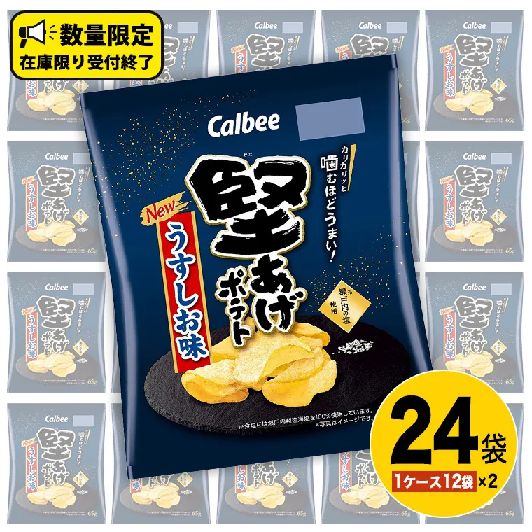 カルビー 堅あげポテト うすしお味 24袋 ( 2ケース ) 65g ポテチ お菓子 おかし 大量 スナック おつまみ ジャガイモ じゃがいも まとめ買い 数量限定