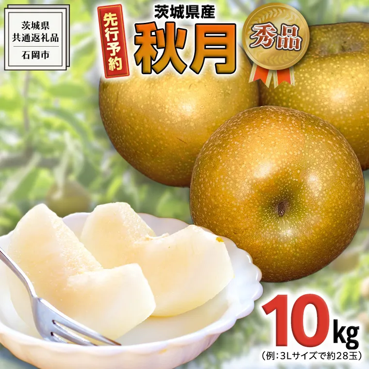  《 先行予約 》 【 秀品 】 茨城県産 梨 秋月 10kg （茨城県共通返礼品：石岡市） 【 2024年 発送分】 フルーツ 果物 なし ナシ 旬 新鮮 旬 期間限定 甘い 国産