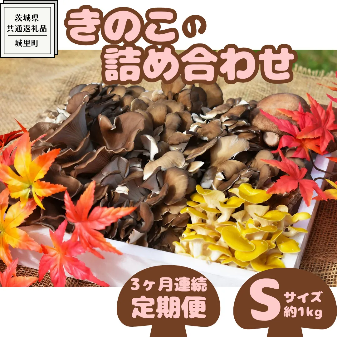  【 3ヶ月連続定期便 】きのこ の 詰め合わせ Sサイズ ( 約1kg ) （茨城県共通返礼品：城里町） キノコ セット 野菜 低カロリー ダイエット デトックス バラエティ セット 新鮮