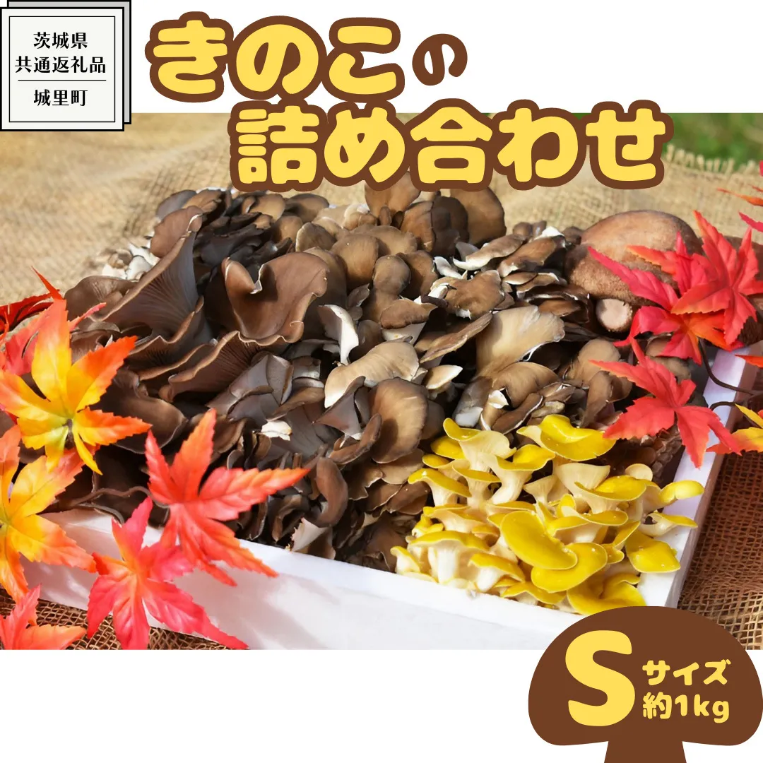 きのこ の 詰め合わせ Sサイズ ( 約1kg ) （茨城県共通返礼品：城里町） キノコ セット 野菜 低カロリー ダイエット デトックス バラエティ セット 新鮮