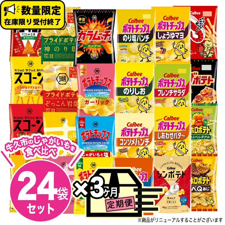 【 3ヶ月 連続 定期便 】 カルビー 湖池屋 人気 24種 詰め合わせ お楽しみ 24袋 スナック菓子 セット カルビー 湖池屋 ポテトチップス ポテチ お菓子 おかし 大量 スナック おつまみ ジャガイモ じゃがいも まとめ買い Calbee ポテト おまかせ 定期便 頒布会 数量限定