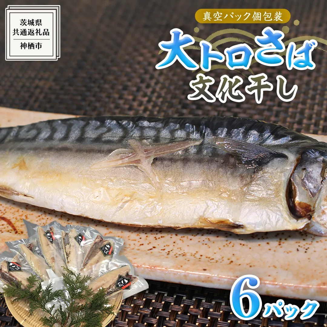 大トロ さば文化 干し 1枚真空 6パック ( 茨城県共通返礼品 :神栖市 ) 海鮮 鯖 切り身 切身 さば サバ 干物 真空パック 真空包装 化粧箱 冷凍 ノルウェーさば