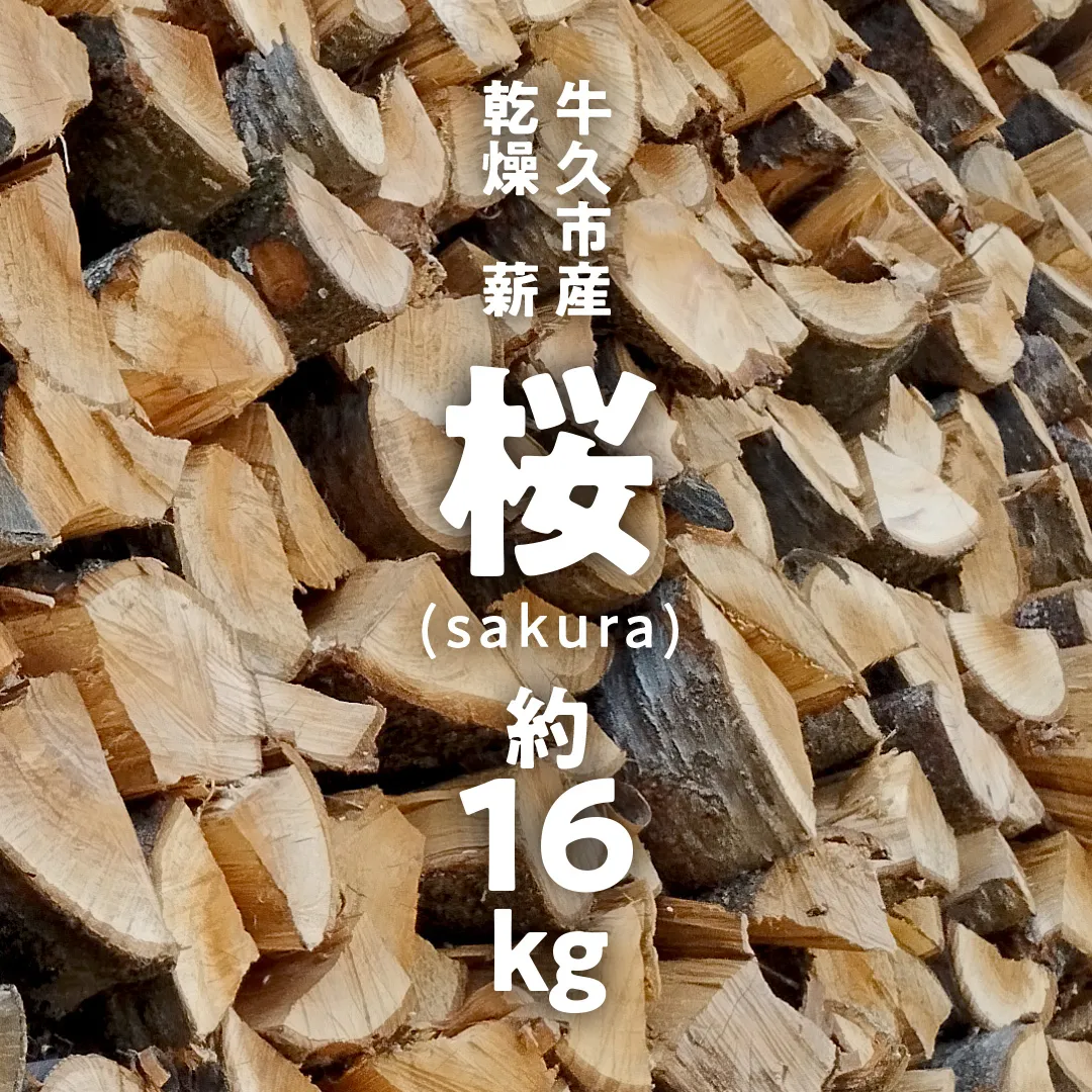 牛久市産 乾燥 薪 桜 ( さくら ) 約 16kg 天然木 マキ 乾燥薪 広葉樹 キャンプ アウトドア 焚火 焚き火 薪ストーブ 暖炉 たき火 野外 屋外 バーベキュー薪 ピザ窯の薪 グリル焼