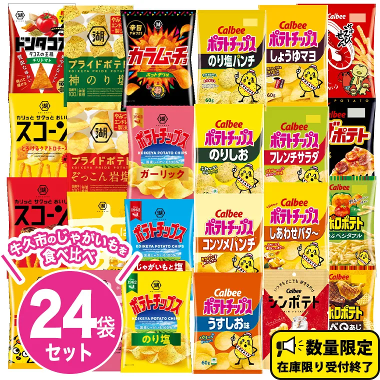 カルビー 湖池屋 人気 24種 詰め合わせ お楽しみ スナック菓子 セット カルビー 湖池屋 ポテトチップス ポテチ お菓子 おかし 大量 スナック おつまみ ジャガイモ じゃがいも まとめ買い Calbee ポテト おまかせ 数量限定