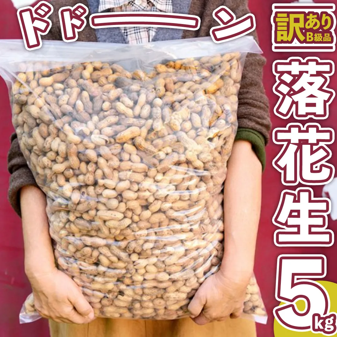 【 訳あり 】 メガ B級 落花生 5kg 業務用 野菜 豆 特産品 農園 自家栽培 ピーナッツ ピーナツ おつまみ ビールのお供 国産 茨城