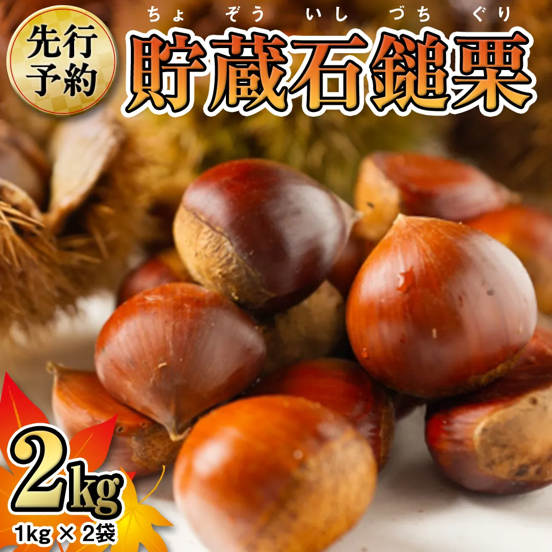 《 先行予約 》 茨城県産 貯蔵 石鎚 栗 2kg （ 1kg × 2袋 ） JA全農いばらき JA 先行予約 【 2024年12月中旬から発送開始 】 いしづち くり くり クリ 栗ごはん ギフト 果物 フルーツ 冬 正月 おせち