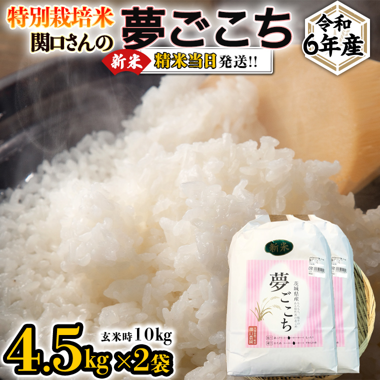 令和6年産】新米 難かっ 農薬約9割減 新潟県認証 特別栽培