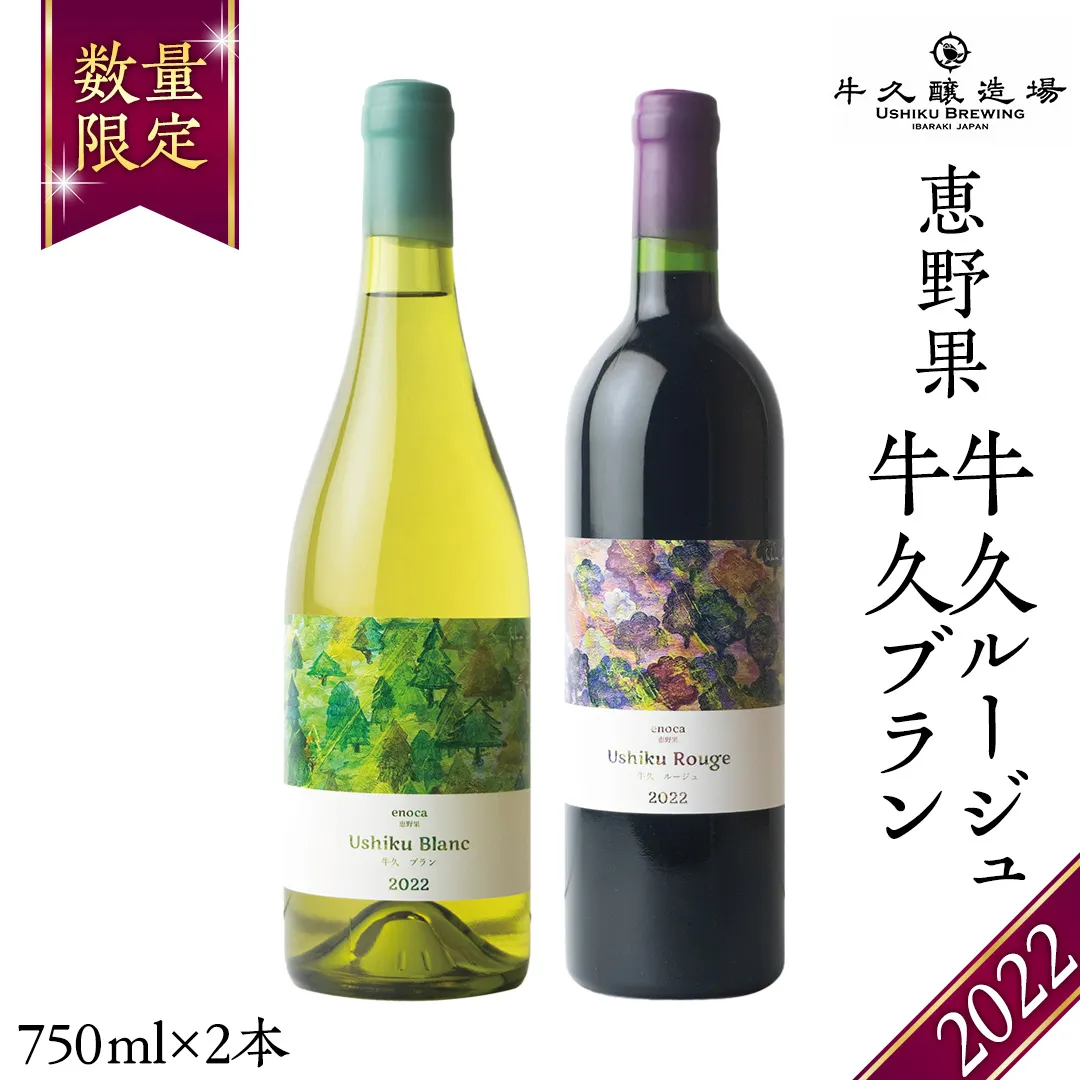 恵野果 牛久ルージュ 2022・恵野果 牛久ブラン 2022 の 750ml×2本セット 茨城県産 牛久醸造場 日本ワイン ワイン 赤ワイン 白ワイン 750ml ミディアムボディ お酒 贈り物 葡萄 ぶどう