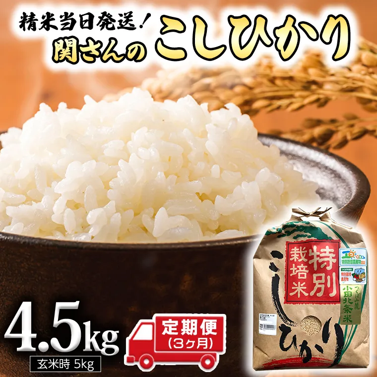 【 定期便 3ヶ月 】 精米日出荷 みずほの村市場牛久店 関さんの こしひかり 4.5kg ( 玄米時 5kg ) 新鮮 米 特別栽培農産物 認定米 令和6年産