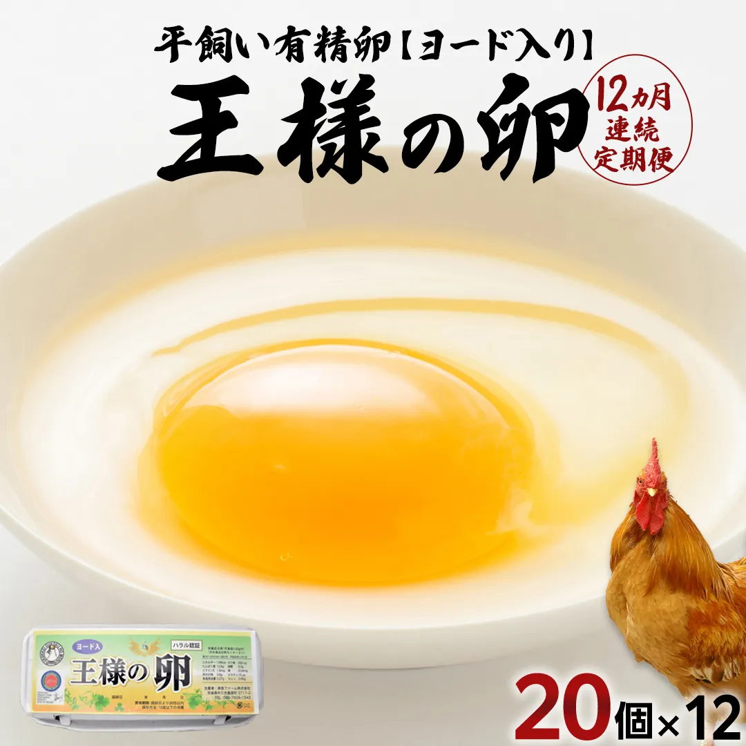 【12ヵ月 連続 定期便】王様の卵 ヨード入 20個 計240個 平飼い 地鶏 有精卵 濃厚 卵 こだわり卵 たまご  頒布会 定期
