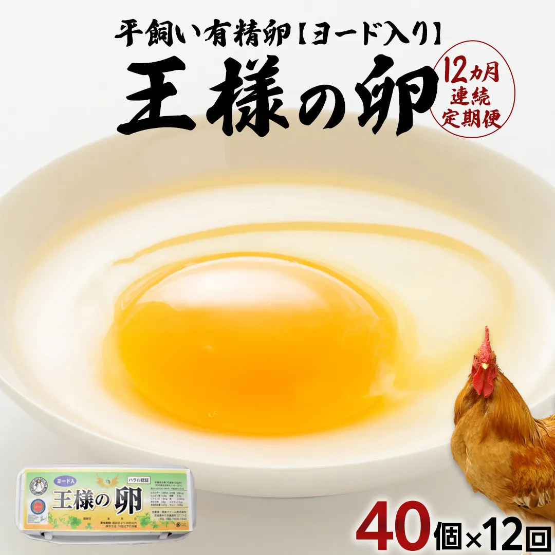 【12ヵ月 連続 定期便】王様の卵 ヨード入 40個 計480個 平飼い 地鶏 有精卵 濃厚 卵 こだわり卵 たまご 頒布会 定期