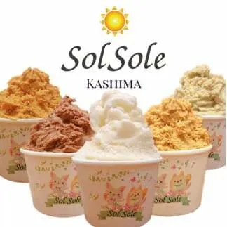 Sol soleのジェラート6種 6個入り 無添加　ジェラート スイーツ デザート 鹿嶋市　アイス 送料無料（KBM-1）