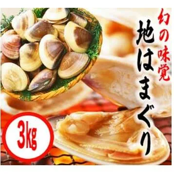 鹿島灘特産★ブランド地はまぐり（超特盛3kg）（KBL-6）