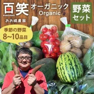 【11月～常温】百笑オーガニック野菜セット（8～10品目）（KAG-1）