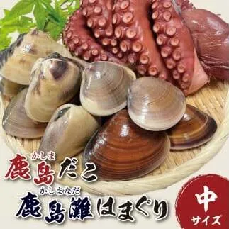 【12月22日入金確認分まで年内発送】鹿島だこ 鹿島灘はまぐりセット（中）【たこ タコ 蛸 蛤 ハマグリ 海鮮 新鮮 魚貝 地たこ 刺身 鹿島灘 鹿嶋市 茨城県】（KM-10）