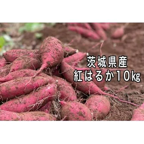 ポテト小屋の生さつまいも 【紅はるか】 10kg 【鹿嶋市 減農薬 サツマイモ 生芋 べにはるか 送料無料 10キロ 15000円以下】 (KBR-4)