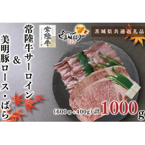 【茨城県共通返礼品】【常陸牛A5ランク・美明豚ステーキ焼肉セット】常陸牛サーロイン600ｇ（300ｇ×２枚）＋美明豚400ｇ（ロース200ｇ・ばら200ｇ）（KCK-35）