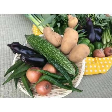 【栽培期間農薬不使用】季節の野菜ハーフセット　KBE-24
