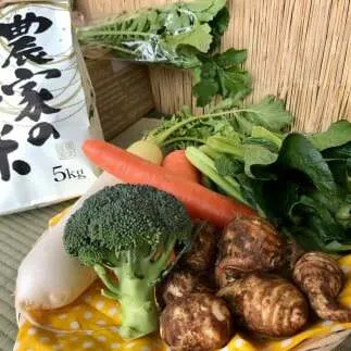 【6ヶ月定期便】【栽培期間農薬不使用】お米と季節の野菜（4～5品）のセット 【おいしい ごはん やさい セット グルメ 無農薬】（KBE-12）