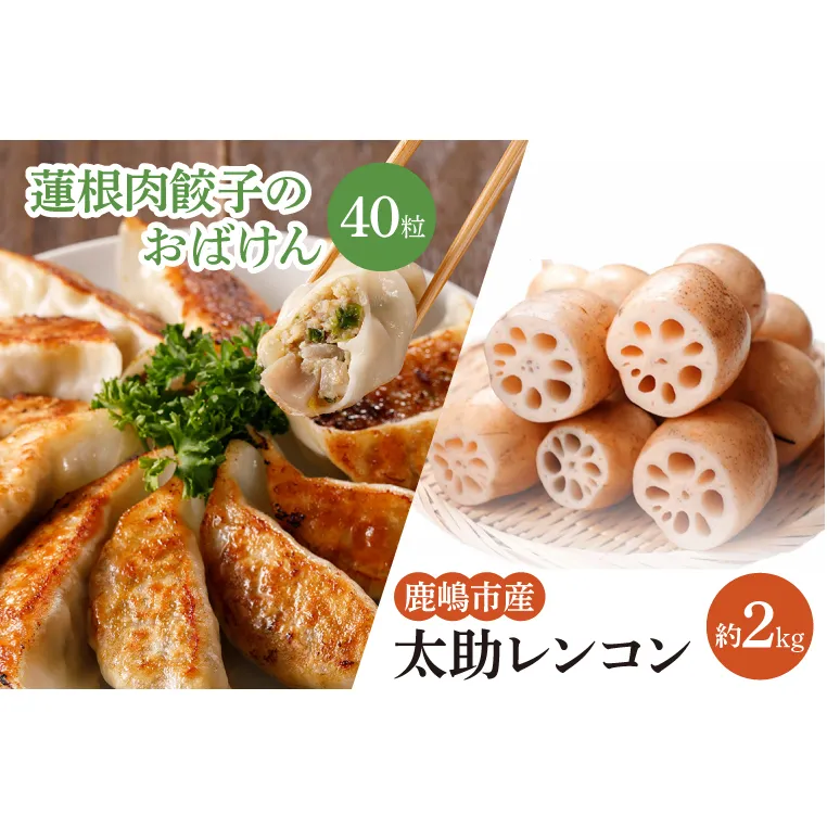 【セット販売】太助レンコン&蓮根肉餃子のおばけん 【2kg&40粒】【野菜 ギョーザ れんこん しゃきしゃき おいしい 食べきり 茨城県 鹿嶋市】（KBU-5）