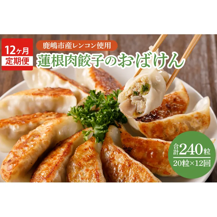 【12ヶ月定期便】蓮根肉餃子のおばけん【20粒×12回】【野菜 ギョーザ れんこん しゃきしゃき おいしい ストック 茨城県 鹿嶋市】（KBU-18）