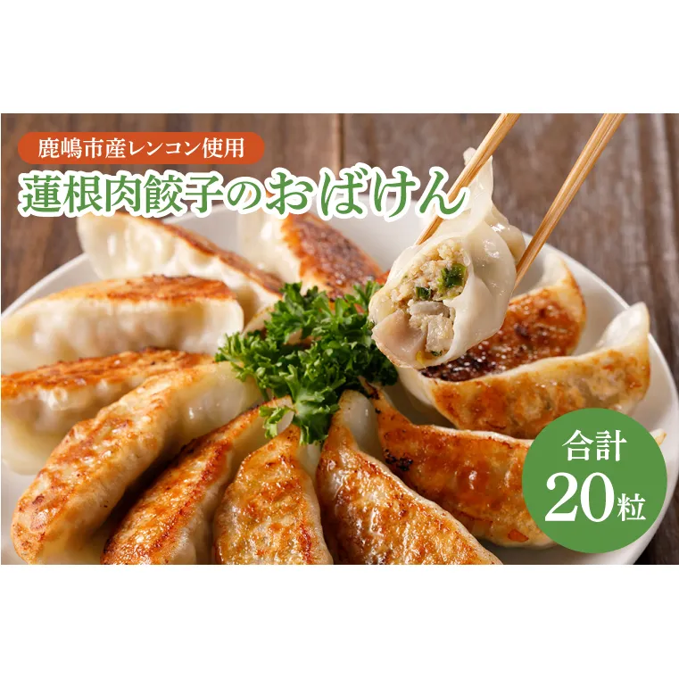 蓮根肉餃子のおばけん【20粒】【野菜 ギョーザ れんこん しゃきしゃき おいしい 食べきり 茨城県 鹿嶋市】（KBU-7）