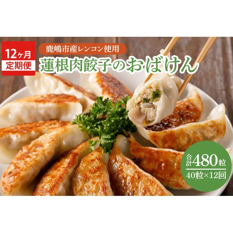 【12ヶ月定期便】蓮根肉餃子のおばけん【40粒×12回】【野菜 ギョーザ れんこん しゃきしゃき おいしい ストック 茨城県 鹿嶋市】（KBU-15）