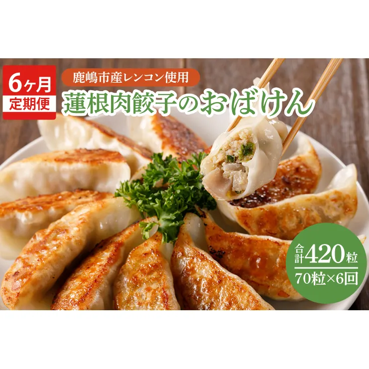 【6ヶ月定期便】蓮根肉餃子のおばけん【70粒×6回】【野菜 ギョーザ れんこん しゃきしゃき おいしい ストック 茨城県 鹿嶋市】（KBU-11）