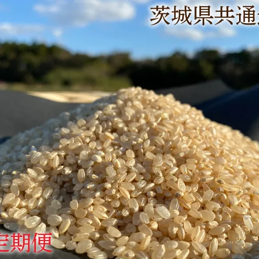 【3ヶ月定期便】【できるだけ農薬を減らした】マキタ超こしひかり 白米10kg×3回【茨城県共通返礼品・行方市産】【おいしい お米 マキタ 減農薬 安心  鹿嶋市】（KBE-39）