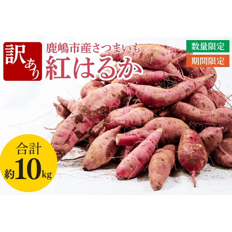 【訳あり】紅はるか約10kg【さつまいも サツマイモ 紅はるか 茨城県 鹿嶋市 10000円以下】（KAM-20）