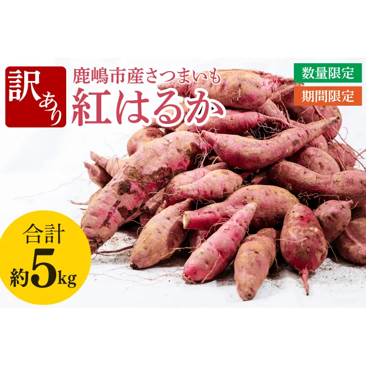 【訳あり】紅はるか約５kg【さつまいも サツマイモ 紅はるか 茨城県 鹿嶋市 10000円以下】（KAM-21）