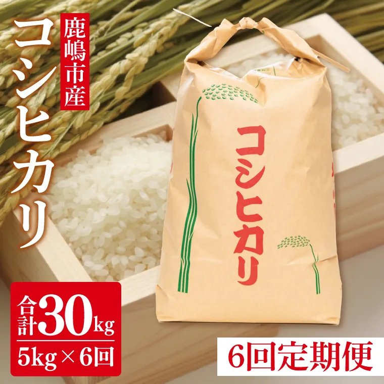 【先行予約】【定期便】コシヒカリ5kg×6回　鹿嶋市産【こしひかり 茨城県 鹿嶋市 75000円以内】（KDS-5）