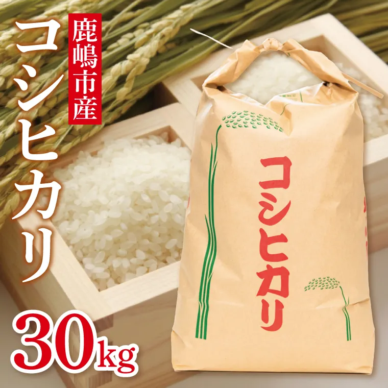 【先行予約】コシヒカリ３０kg　鹿嶋市産【こしひかり 米こめコメ茨城県 鹿嶋市 75000円以内】（KDS-3）