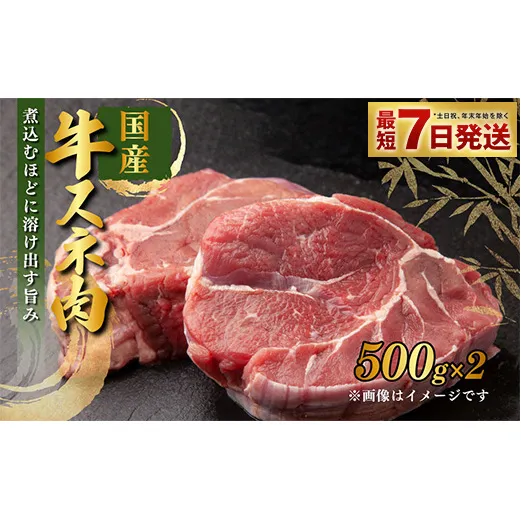 国産 牛スネ肉 500g×2 合計1kg 小分け 茨城県産 カレー シチュー 煮込み料理 冷凍