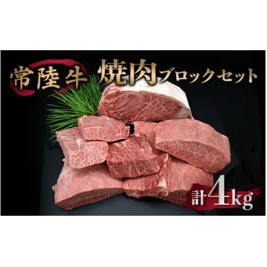 焼肉ブロックセット 合計4kg 牛肉 サーロイン ミスジ カルビ