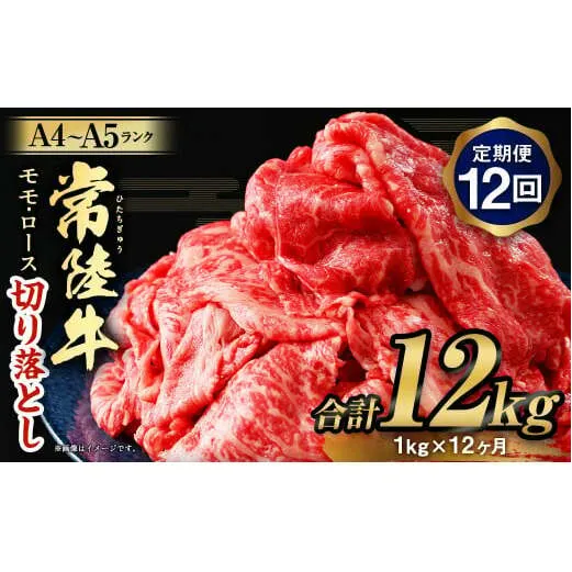 【定期便 12ヶ月】【常陸牛】切り落とし1kg