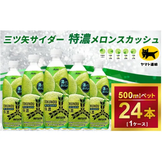 三ツ矢サイダー 特濃メロンスカッシュ 500ml×1ケース (24本)