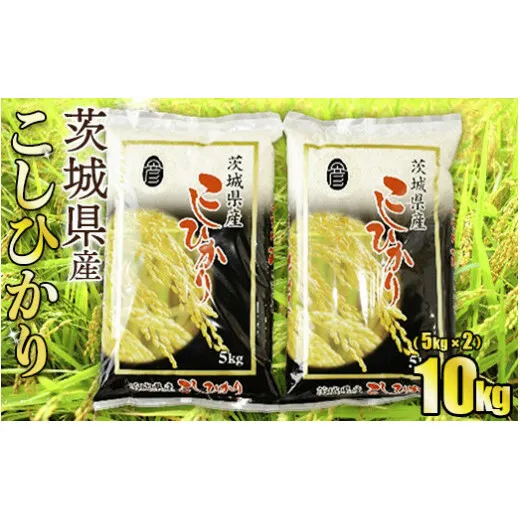 令和5年産茨城コシヒカリ　5kg×2【お米・コシヒカリ・米・10kg】