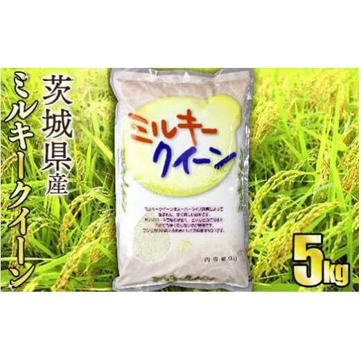 令和5年産茨城ミルキークイーン 5kg【お米・米・ミルキークイーン・5kg】