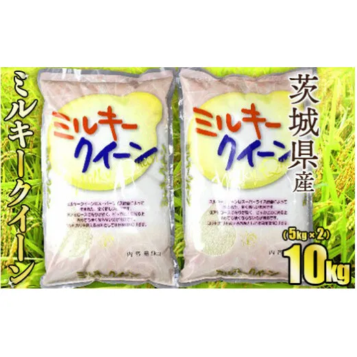 令和5年産茨城ミルキークイーン 5kg×2【お米・米・ミルキークイーン・10kg】