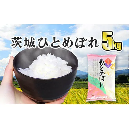 令和5年産 茨城ひとめぼれ 5kg 1袋 ひとめぼれ 白米 精米 ごはん お米 国産 茨城県産 守谷市 送料無料