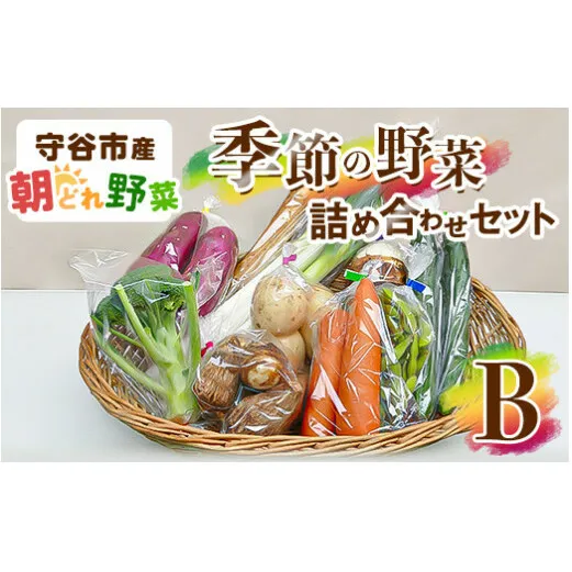 季節の野菜セットB