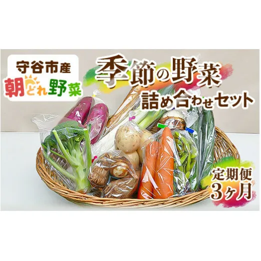 【定期便】季節の野菜セット定期便