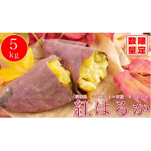 オーガニックさつまいも5kg【農薬・肥料不使用】【茨城県共通返礼品 つくばみらい市】
※2023年9月上旬～2024年2月下旬頃に順次発送予定