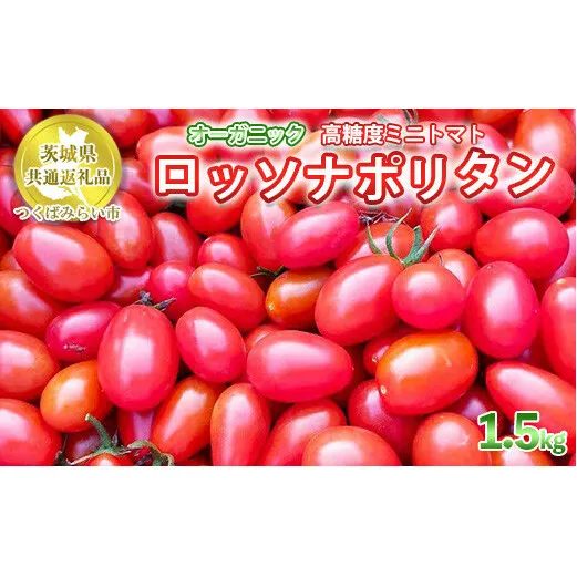 オーガニック高糖度ミニトマト「ロッソナポリタン」【農薬・肥料不使用】【茨城県共通返礼品 つくばみらい市】
※2023年6月上旬頃より順次発送予定