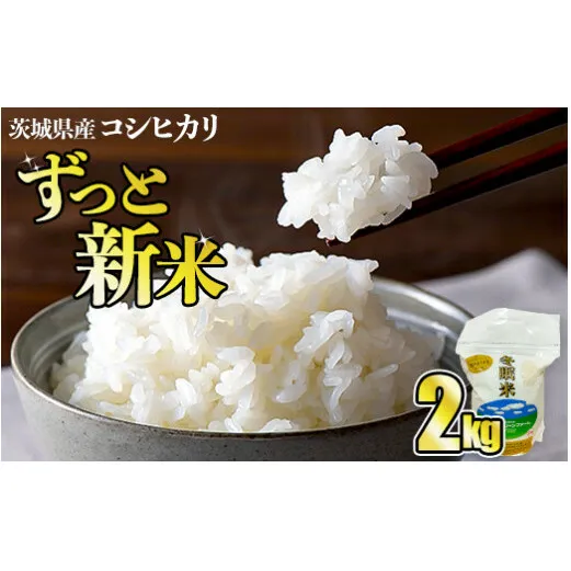 令和6年産 コシヒカリ 冬眠米 2kg 茨城県産 白米 精米 ごはん お米 冬眠 とうみんまい ブランド米 検査米 単一原料米 国産 守谷市 送料無料