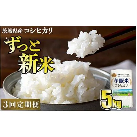 【3回定期便】令和6年産 コシヒカリ 冬眠米 5kg×3回 計15kg 定期便 茨城県産 白米 精米 ごはん お米 冬眠 とうみんまい ブランド米 検査米 単一原料米 国産 守谷市 送料無料